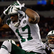 Image for article titled Braylon Edwards Has The Kind Of Résumé No Free Agent Wide Receiver Would Want